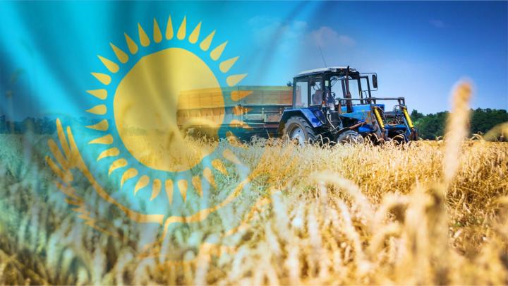 Более 45 миллионов землян Казахстан накормил своей пшеницей и мукой