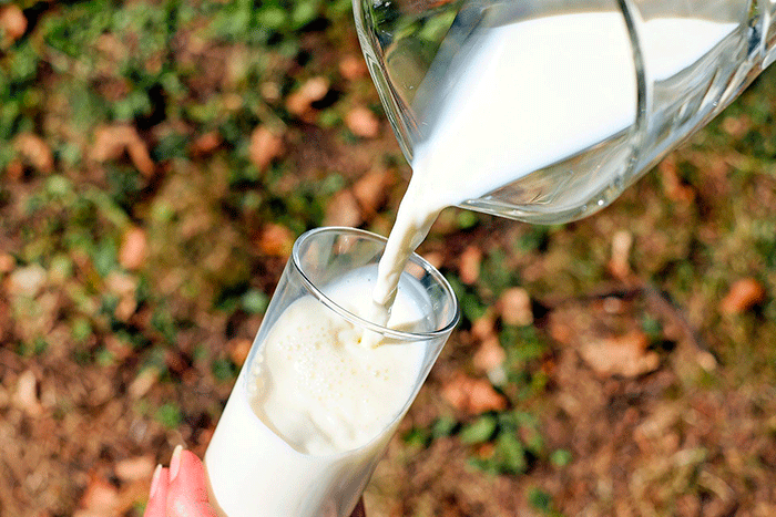 В Казахстане молоко за год подорожало на 22%
