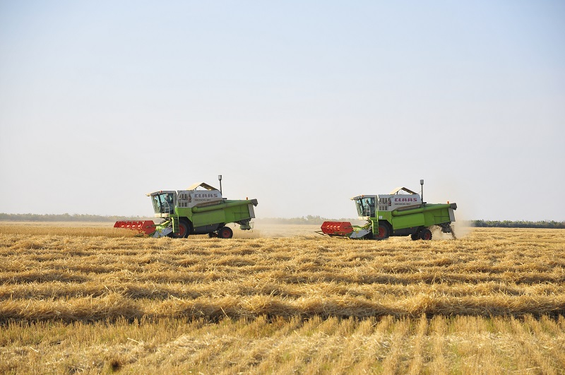 Почти миллион гектар неиспользуемых сельскохозземель вернули в госсобственность в Казахстане
